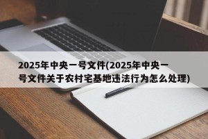 2025年中央一号文件(2025年中央一号文件关于农村宅基地违法行为怎么处理)
