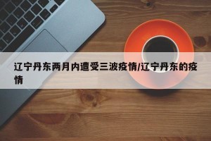 辽宁丹东两月内遭受三波疫情/辽宁丹东的疫情