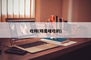 吃翔(翔是啥吃的)