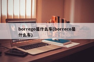 borrego是什么车(borreco是什么车)